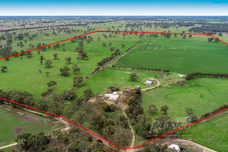 Fifth view of Homely rural property listing, 124 Pallants Road, Hynam SA 5262