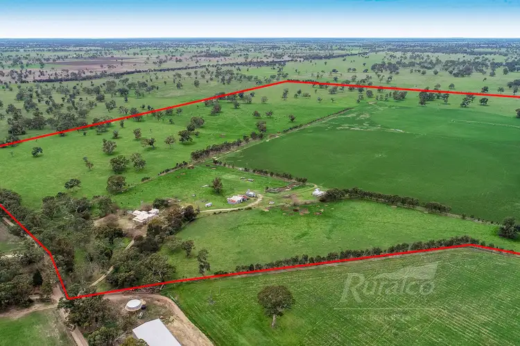 Sixth view of Homely rural property listing, 124 Pallants Road, Hynam SA 5262