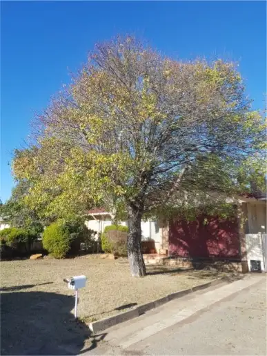 Third view of Homely house listing, 23 Pitchford Ave, Maddington WA 6109