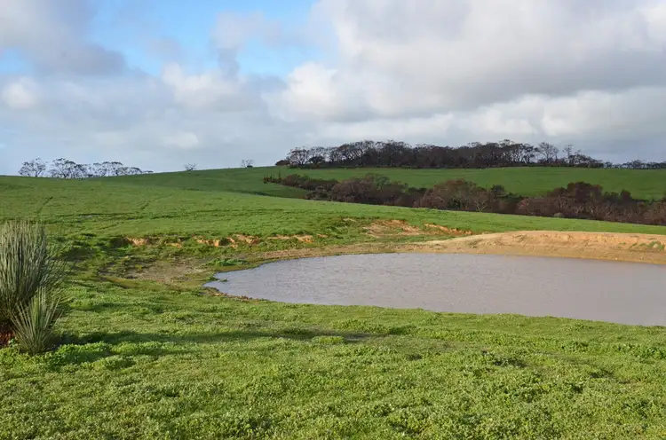 Main view of Homely rural property listing, Lot 101 YACCA JACKS ROAD, Cassini SA 5223