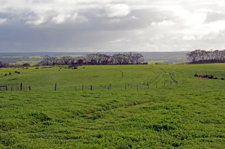 Third view of Homely rural property listing, Lot 101 YACCA JACKS ROAD, Cassini SA 5223