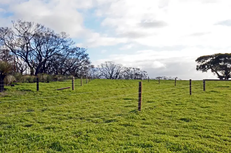 Fourth view of Homely rural property listing, Lot 101 YACCA JACKS ROAD, Cassini SA 5223