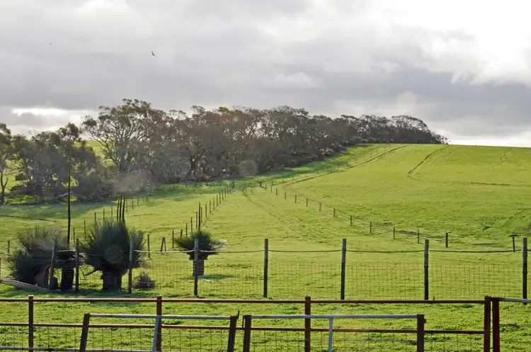 Seventh view of Homely rural property listing, Lot 101 YACCA JACKS ROAD, Cassini SA 5223