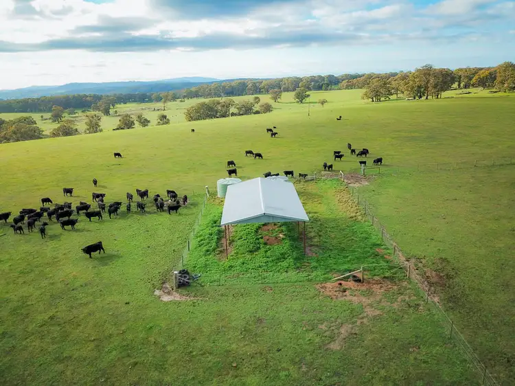 Fourth view of Homely rural property listing, 2379 CREIGHTONS CREEK ROAD, Creightons Creek VIC 3666