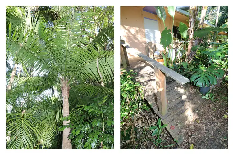 Sixth view of Homely house listing, 91-93 Cullen Street, Nimbin NSW 2480