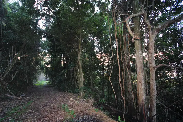 Fourth view of Homely rural property listing, 2782 Comboyne Road, Killabakh NSW 2429