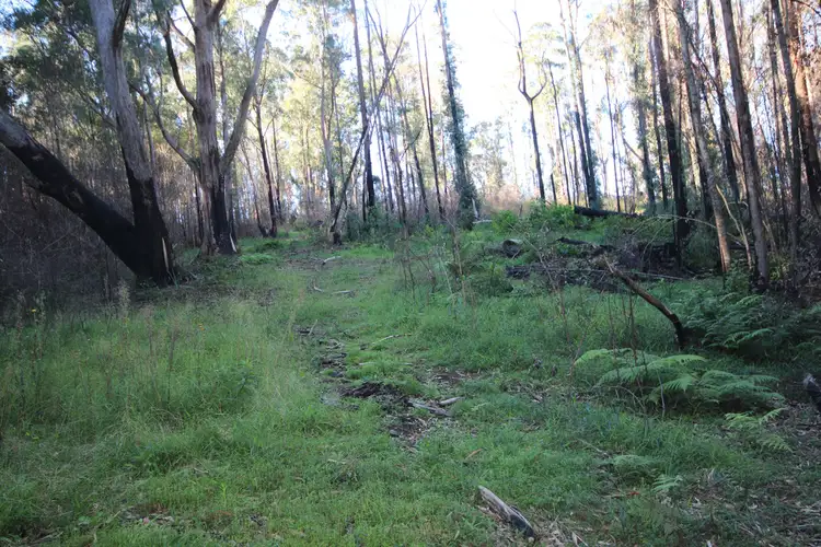 Seventh view of Homely rural property listing, 2782 Comboyne Road, Killabakh NSW 2429