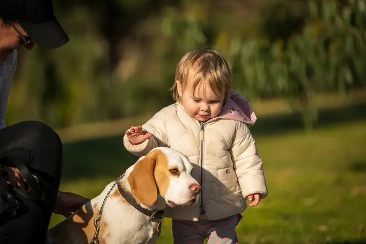 Fifth view of Homely land listing, Lot 147 Wattleside Drive, Ocean Grove VIC 3226