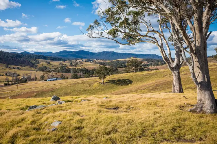 Third view of Homely rural property listing, 2673 Mount Darragh Rd, Wyndham NSW 2550