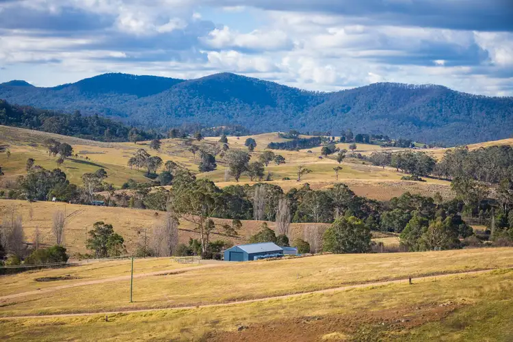 Sixth view of Homely rural property listing, 2673 Mount Darragh Rd, Wyndham NSW 2550