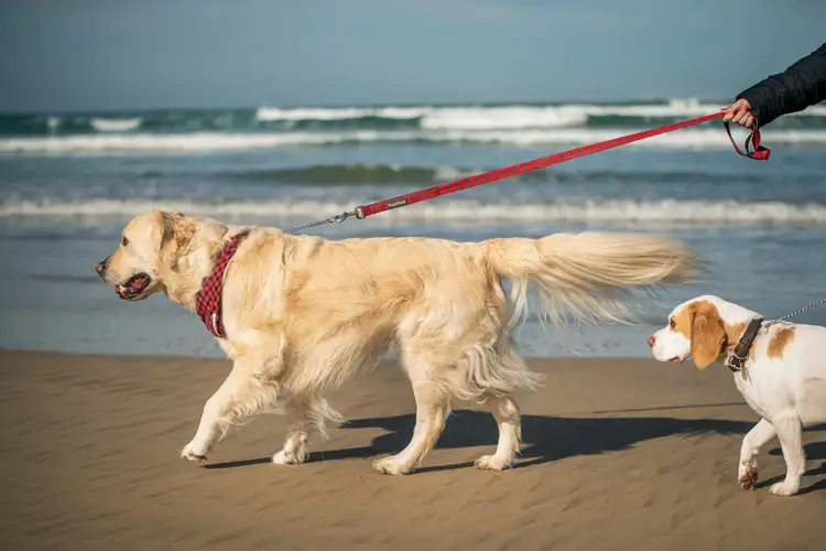 Third view of Homely land listing, Lot 148 Wattleside Drive, Ocean Grove VIC 3226