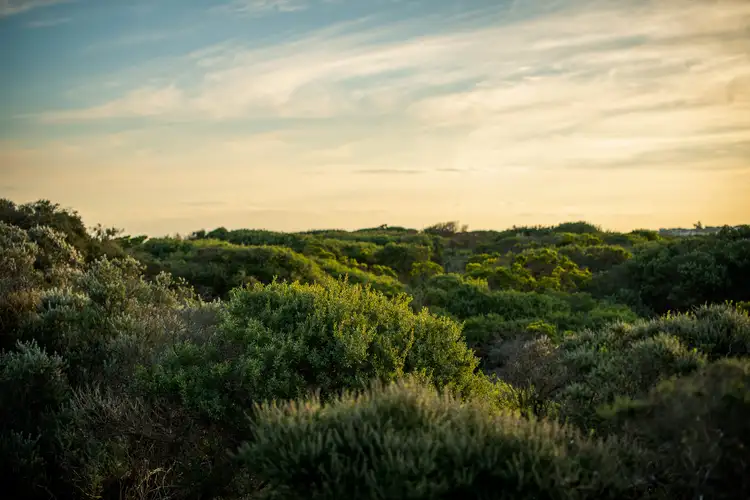 Third view of Homely land listing, Lot 158 Wetland Way, Ocean Grove VIC 3226