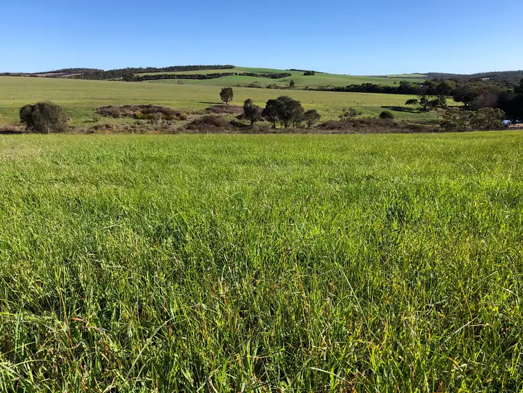 Fourth view of Homely rural property listing, Lot 1 Charlton Gully Road, Charlton Gully SA 5607