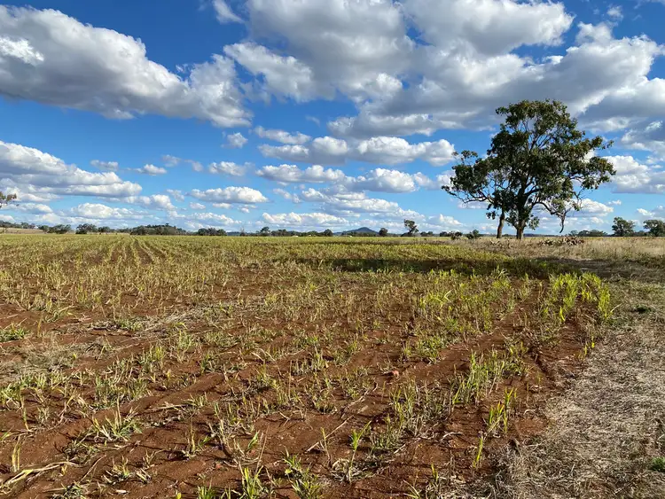 Sixth view of Homely rural property listing, 236 Murphy Road, Linthorpe QLD 4356