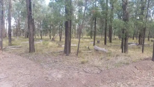 Fourth view of Homely rural property listing, 214 MYRA ROAD, Tara QLD 4421