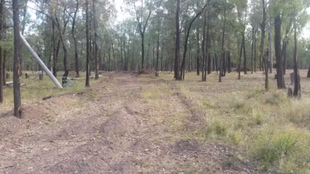 Fifth view of Homely rural property listing, 214 MYRA ROAD, Tara QLD 4421