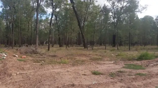 Seventh view of Homely rural property listing, 214 MYRA ROAD, Tara QLD 4421
