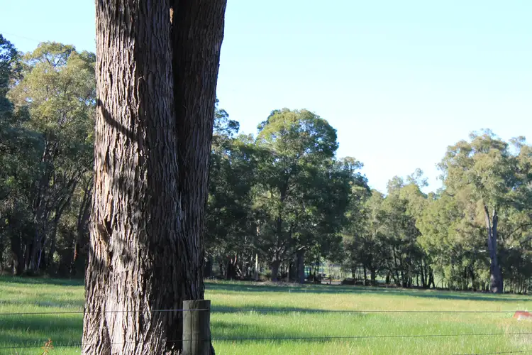 Sixth view of Homely land listing, 1180 Needham Road, Wooroloo WA 6558