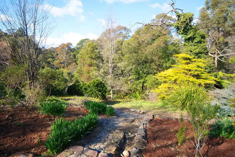 31 Hat Hill Road, Blackheath NSW 2785