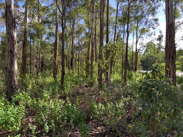 Main view of Homely land listing, Lot 168 KARRI LANE, Quinninup WA 6258