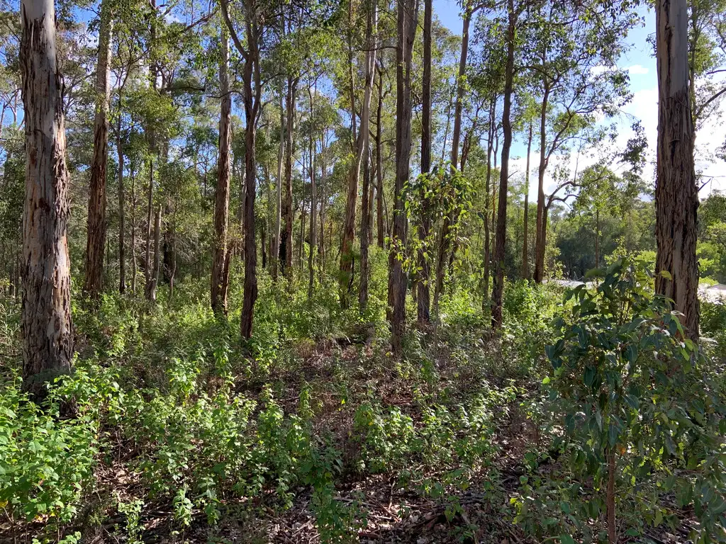 Main view of Homely land listing, Lot 168 KARRI LANE, Quinninup WA 6258