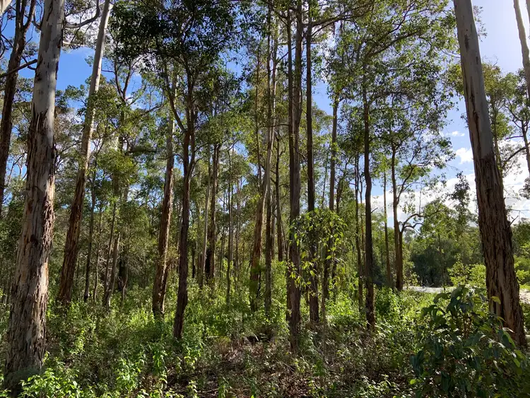 Second view of Homely land listing, Lot 168 KARRI LANE, Quinninup WA 6258