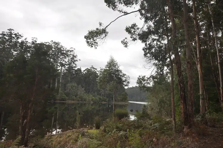 LOT 93 KARRI LANE, Quinninup WA 6258