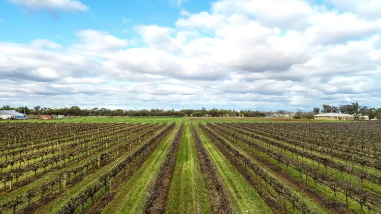 Sixth view of Homely land listing, LOT 2, Part Farm 1684 Rankins Springs Road, Griffith NSW 2680