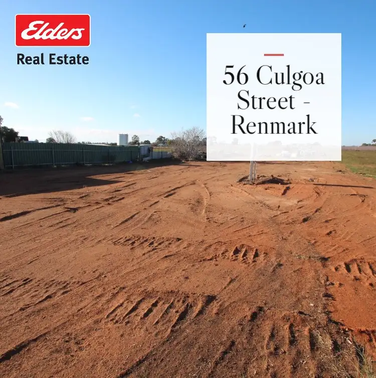 56 Culgoa Street, Renmark SA 5341