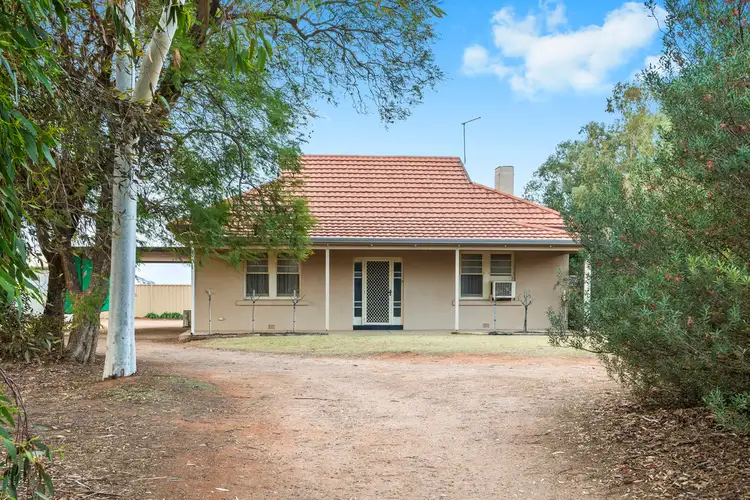 16 Rialto Street, Renmark SA 5341