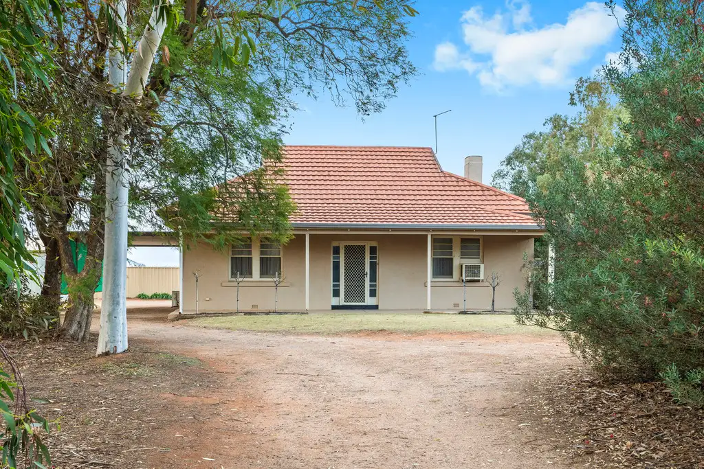 Main view of Homely house listing, 16 Rialto Street, Renmark SA 5341