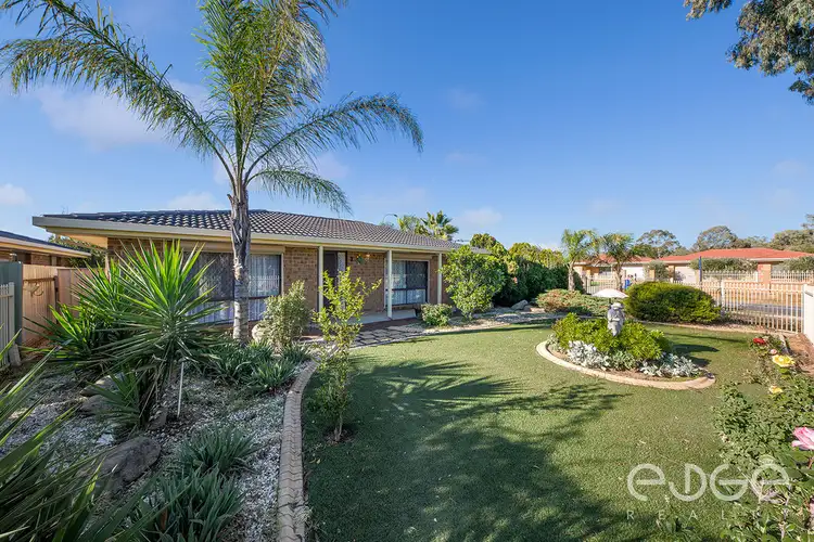 1 Tabitha Avenue, Paralowie SA 5108