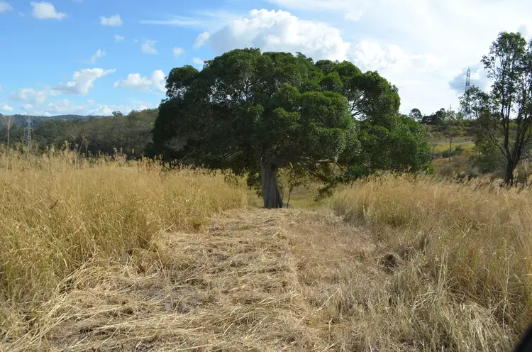 Sixth view of Homely rural property listing, 18 Silver Pinch Road, Silver Ridge QLD 4352