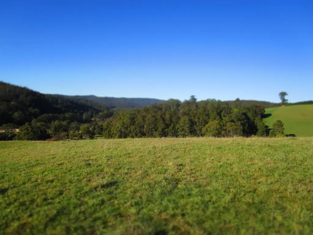Main view of Homely rural property listing, - Wilmot Road, Forth TAS 7310