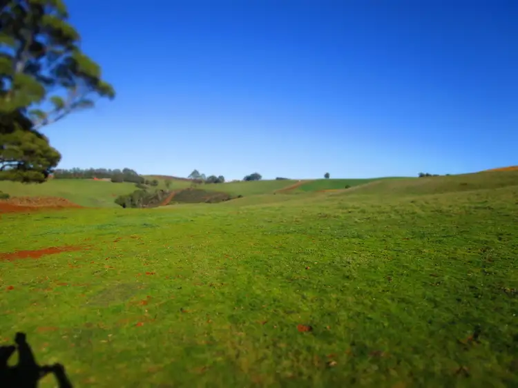 Fourth view of Homely rural property listing, - Wilmot Road, Forth TAS 7310