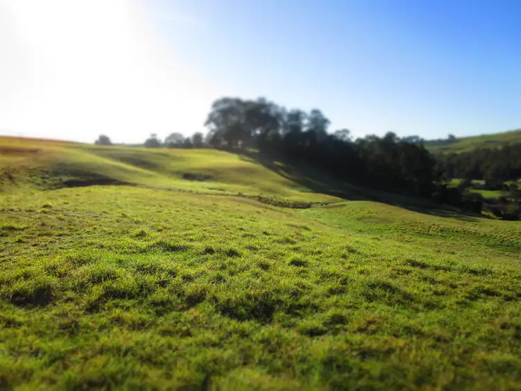 Sixth view of Homely rural property listing, - Wilmot Road, Forth TAS 7310