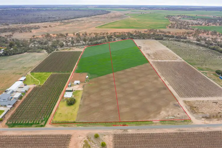Main view of Homely house listing, 70 Drovers Drive, Gol Gol NSW 2738