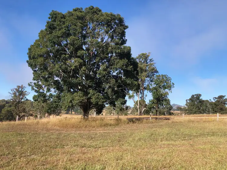 Third view of Homely land listing, Lot 41 Watergum Drive, Pie Creek QLD 4570