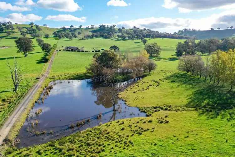 Second view of Homely rural property listing, 434 Woomargama Way, Woomargama NSW 2644
