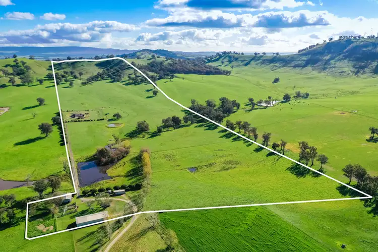 Fourth view of Homely rural property listing, 434 Woomargama Way, Woomargama NSW 2644