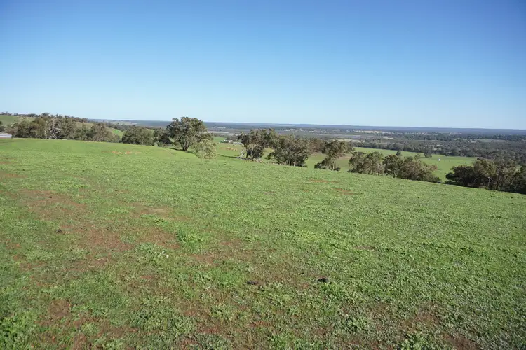 Fourth view of Homely rural property listing, 2796 BINDOON-MOORA ROAD, Wannamal WA 6505