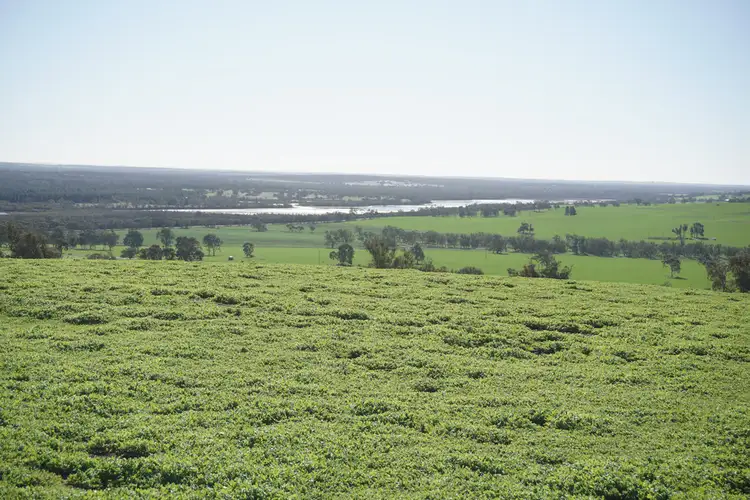 Fifth view of Homely rural property listing, 2796 BINDOON-MOORA ROAD, Wannamal WA 6505
