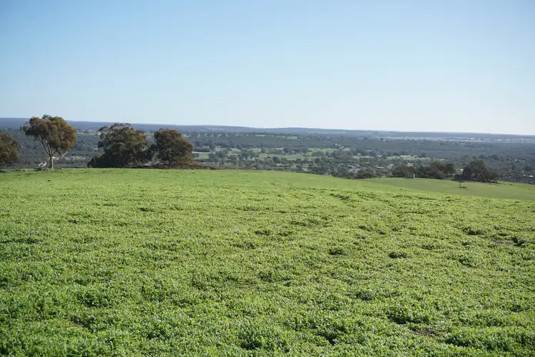 Sixth view of Homely rural property listing, 2796 BINDOON-MOORA ROAD, Wannamal WA 6505