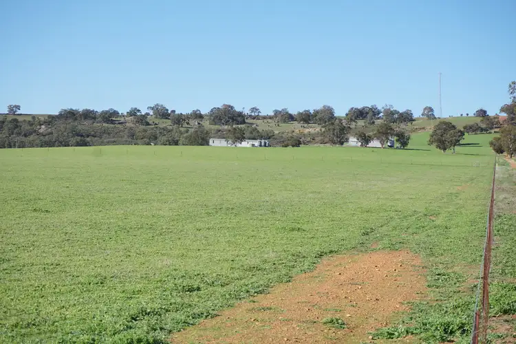 Seventh view of Homely rural property listing, 2796 BINDOON-MOORA ROAD, Wannamal WA 6505