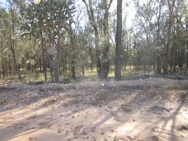Fourth view of Homely rural property listing, LOT 64&65 SOUTH ROAD, Tara QLD 4421