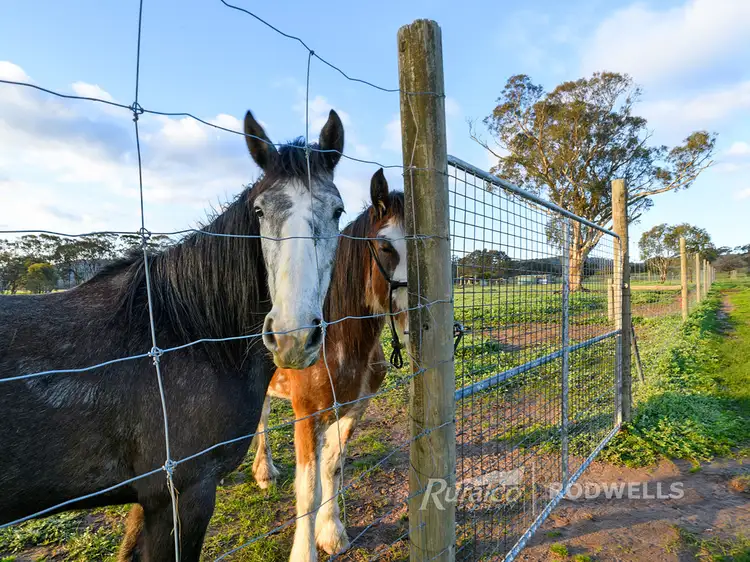 Sixth view of Homely rural property listing, 260 Goudie Rd, Chesney Vale VIC 3725