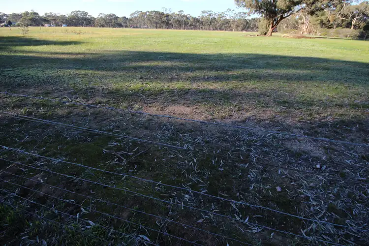 Fifth view of Homely rural property listing, 203-204 Western Highway, Deep Lead VIC 3381
