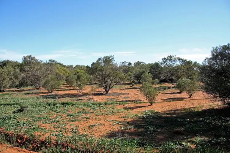 Fourth view of Homely land listing, 1040 Bookpurnong Road, Loxton SA 5333