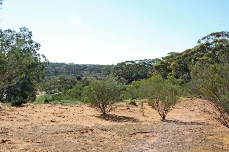 Fifth view of Homely land listing, 1040 Bookpurnong Road, Loxton SA 5333