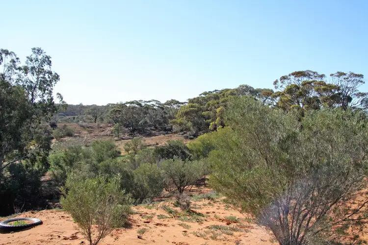 Sixth view of Homely land listing, 1040 Bookpurnong Road, Loxton SA 5333